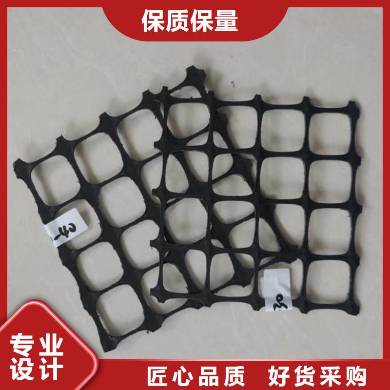 土工格栅_土工布品质优选诚信厂家