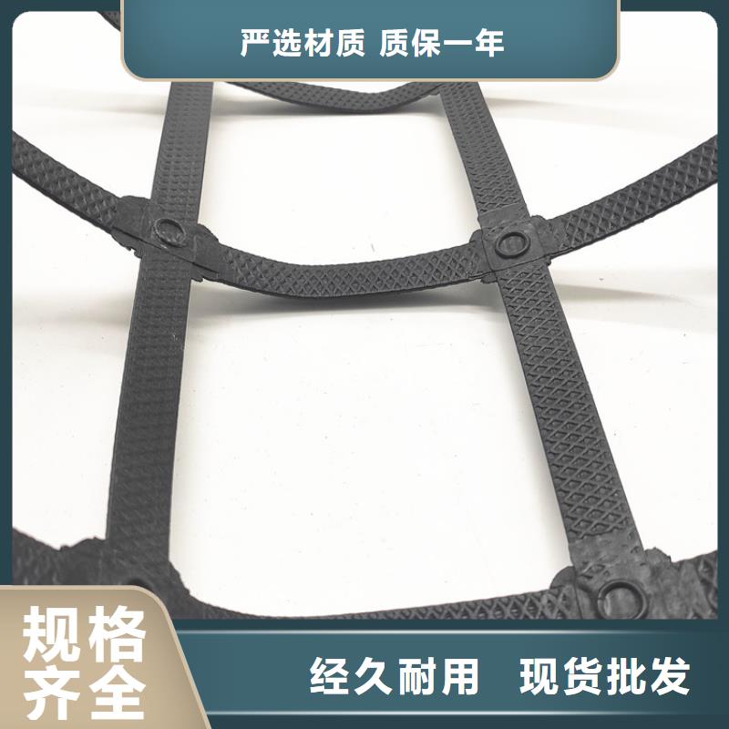 土工格栅HDPE土工膜极速发货本地品牌