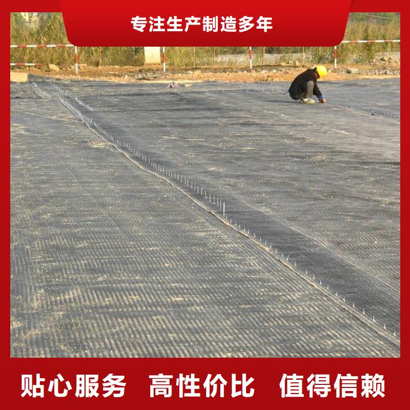 土工格栅止水带货源报价厂家货源