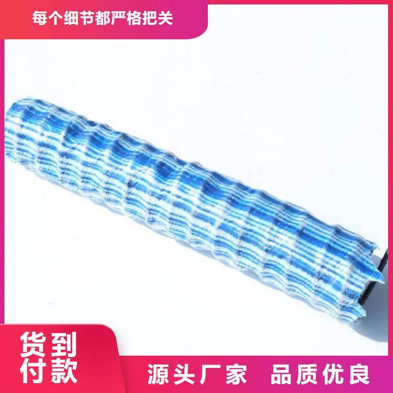 软式透水管三维植被网极速发货大品牌值得信赖