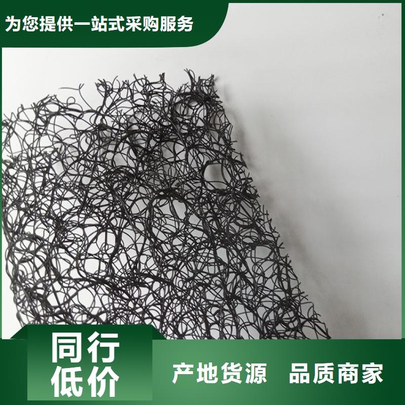 【通风降噪丝网土工膜产地工厂】经销商