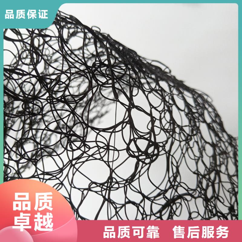 通风降噪丝网,土工网垫做工精细本地制造商