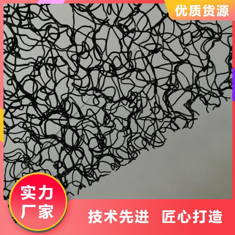 水土保护毯-双向塑料土工格栅品牌企业当地货源