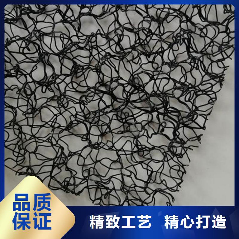 水土保护毯_双向塑料土工格栅品质之选源头厂家经验丰富