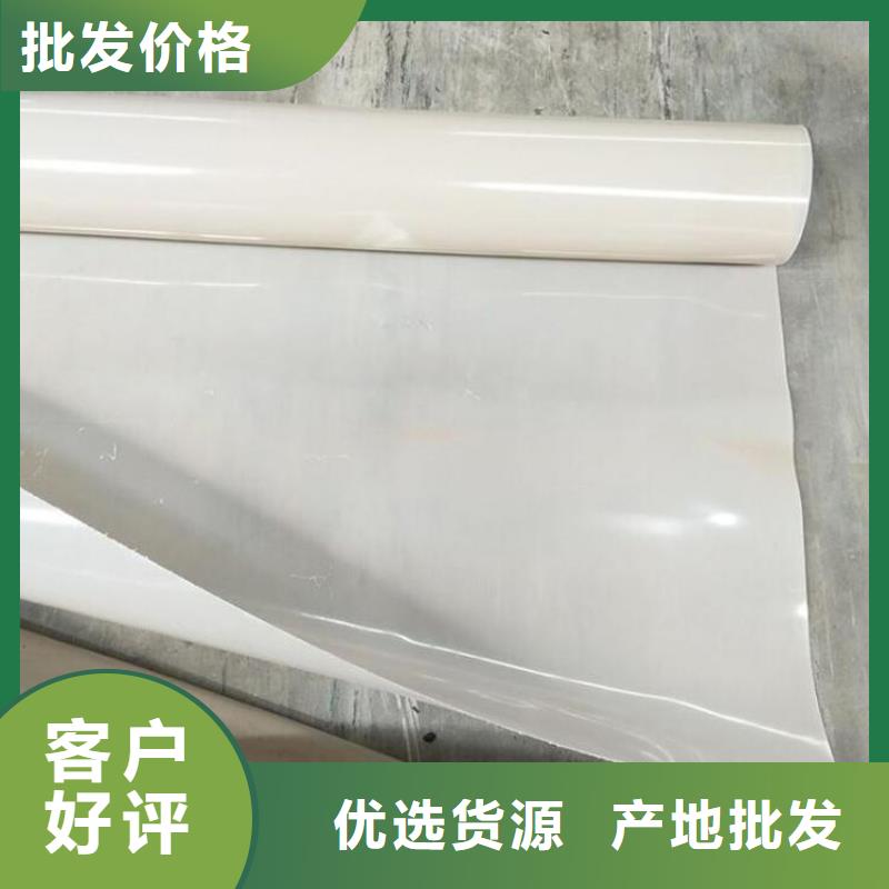 防水板防渗膜专业生产厂家同城货源