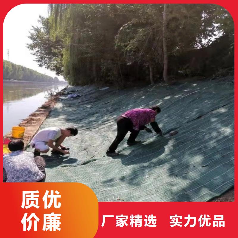 【椰丝毯】排水板厂家主推产品