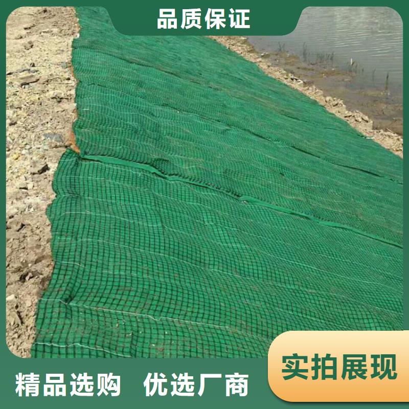 【椰丝毯双向土工格栅注重细节】生产厂家