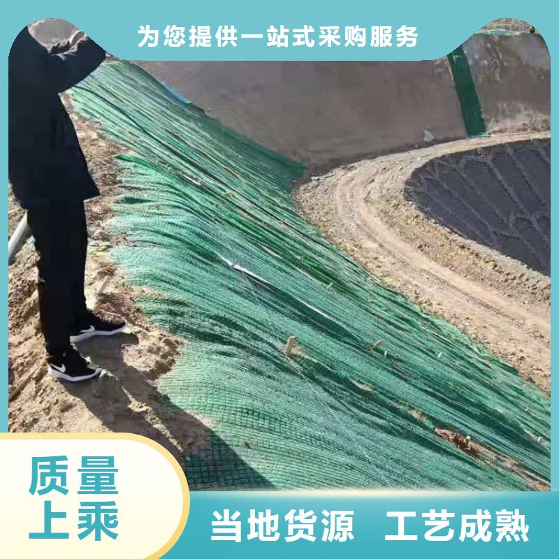 椰丝毯HDPE复合排水板工厂现货供应生产型