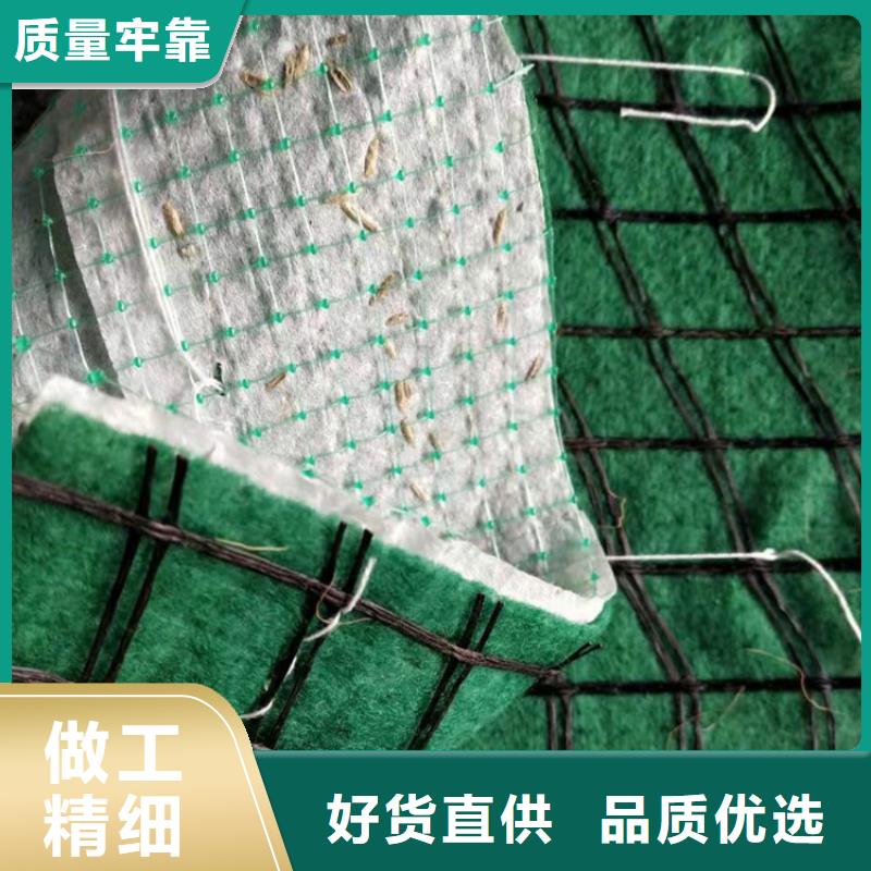 【椰丝毯】土工膜优质工艺本地厂家