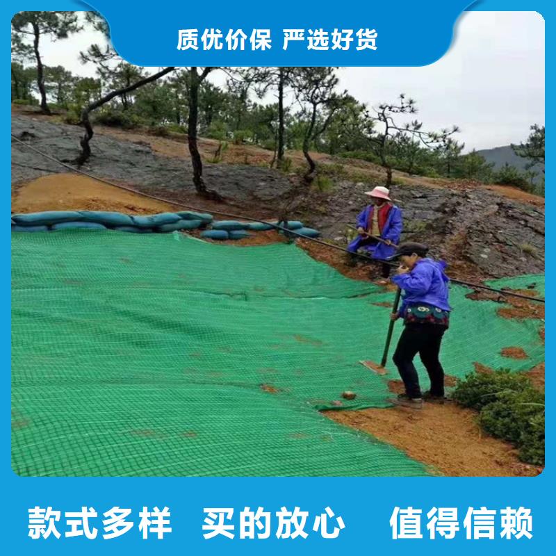 椰丝毯-土工膜专业设计优质工艺