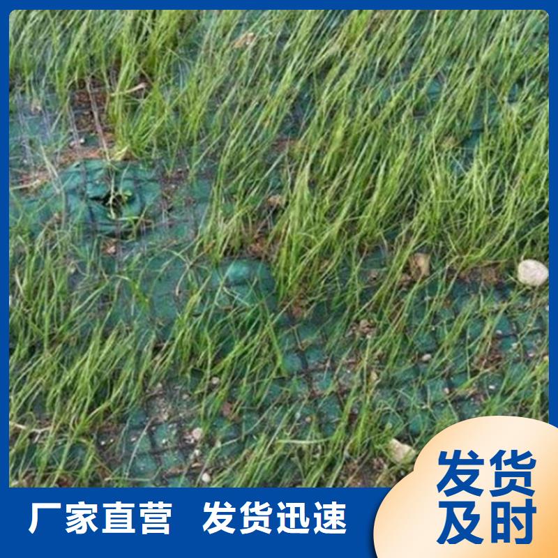 椰丝毯,土工布严谨工艺海量现货