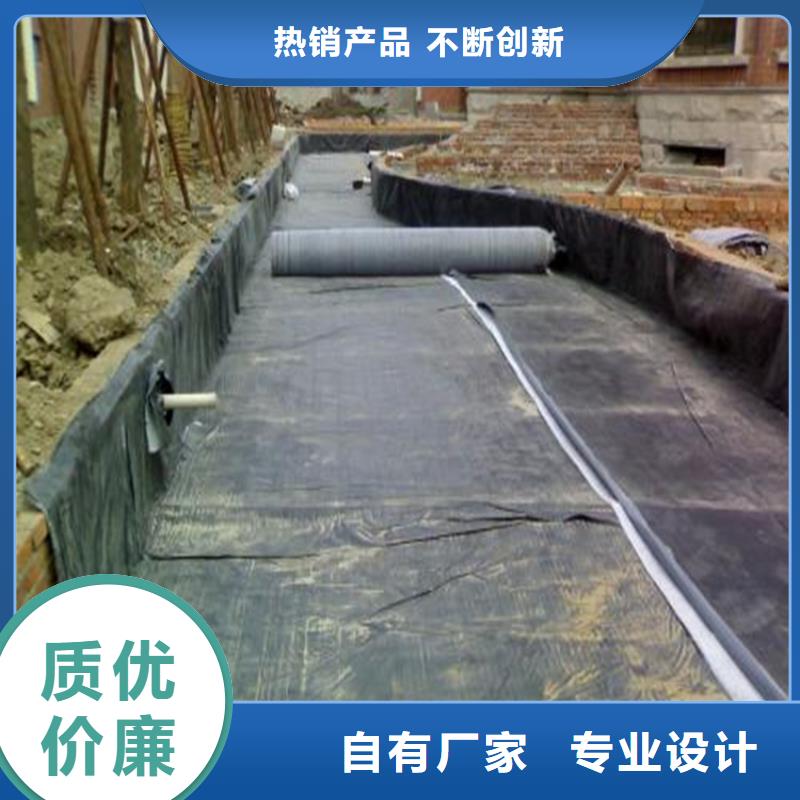 【膨润土防水毯土工布匠心打造】专心专注专业