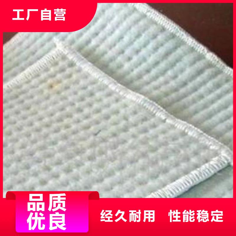 膨润土防水毯双向土工格栅优良材质高标准高品质