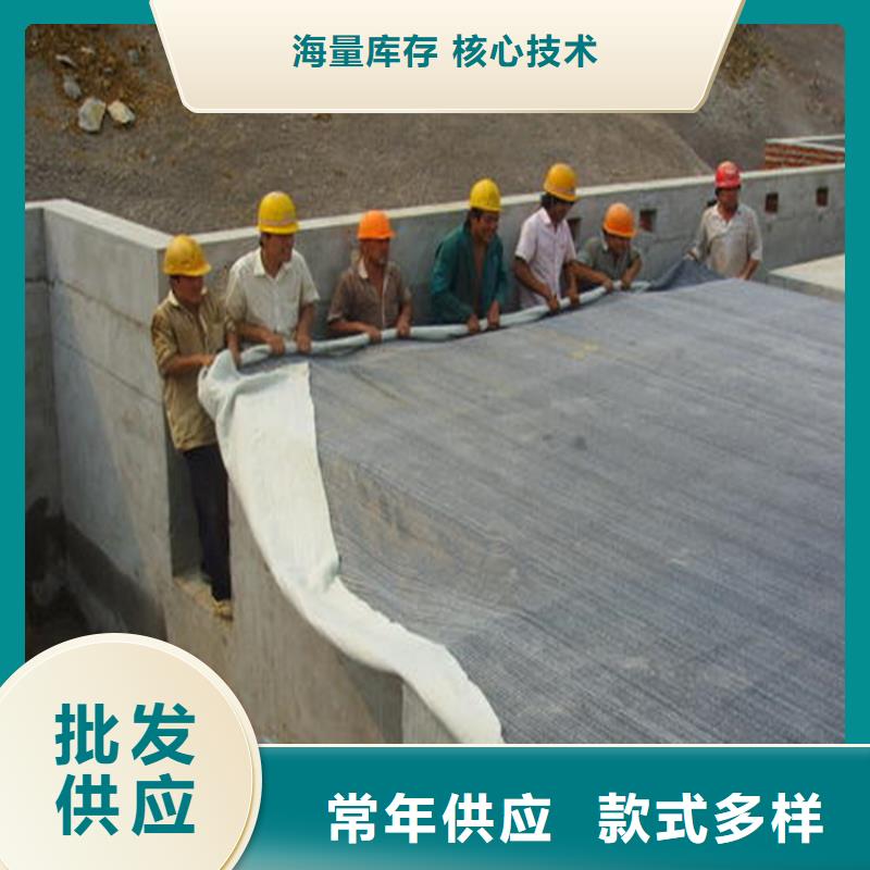 【膨润土防水毯】,复合土工膜价格实惠工厂直供放心购