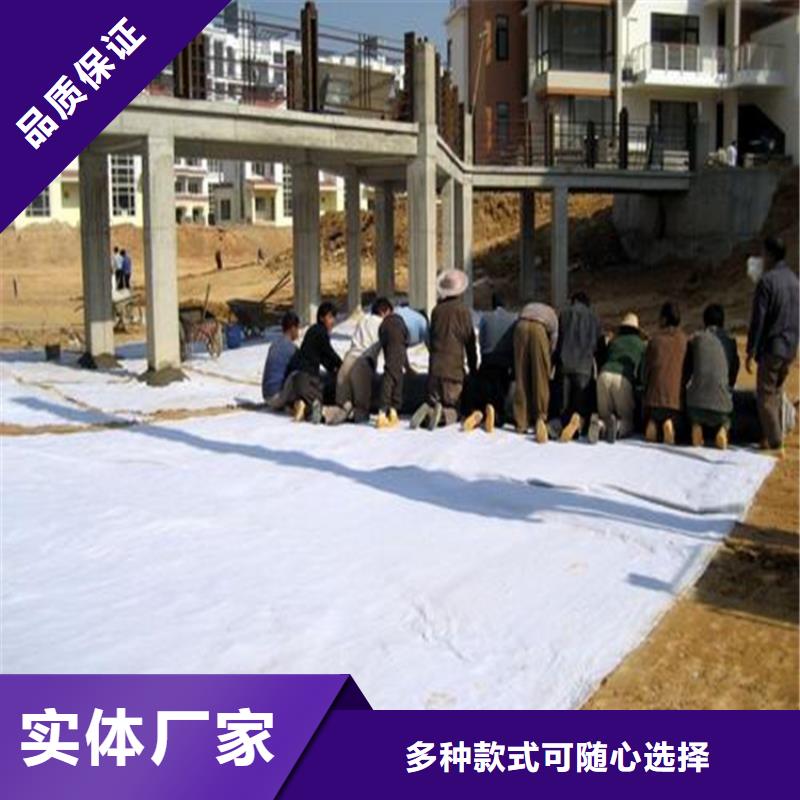 膨润土防水毯-聚酯布专业生产厂家本地供应商