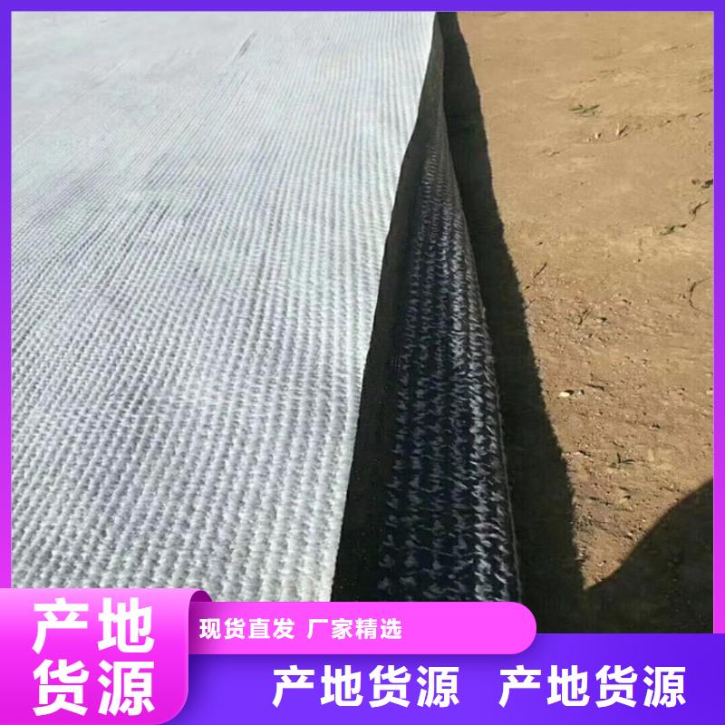 膨润土防水毯塑料盲沟量大从优同城品牌