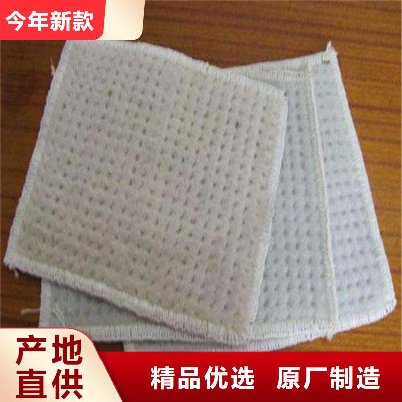 【膨润土防水毯】双向塑料土工格栅一件也发货源头厂家经验丰富