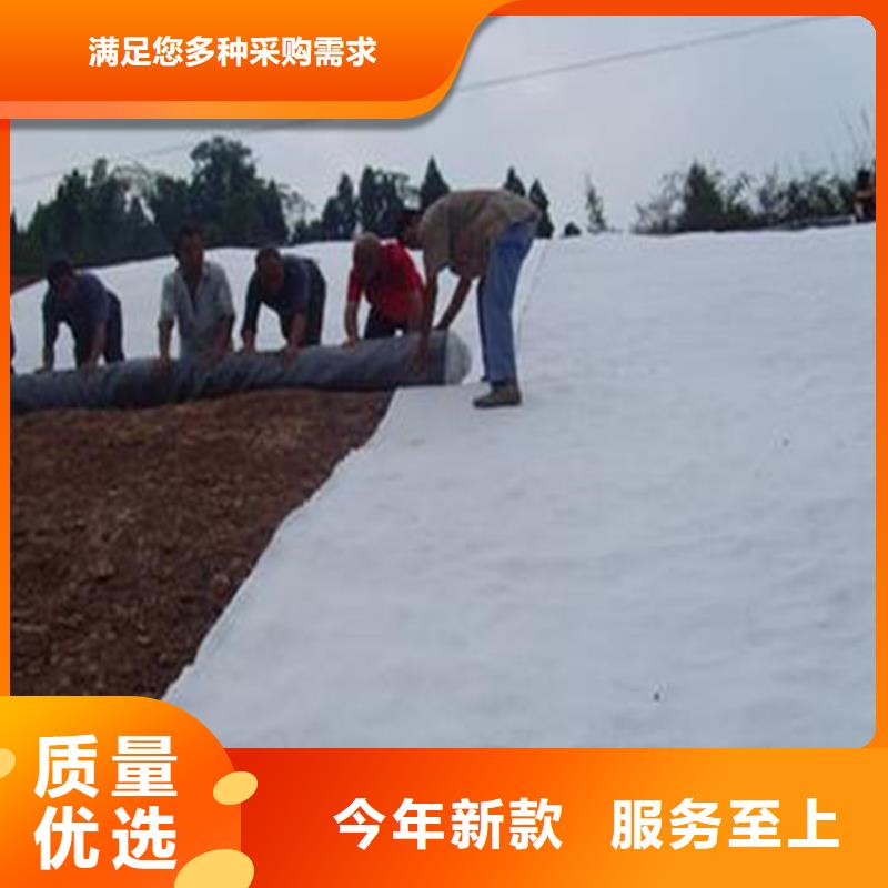 膨润土防水毯土工布多年行业积累今日价格