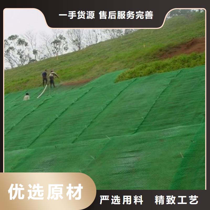 三维植被网实体诚信厂家欢迎来电咨询