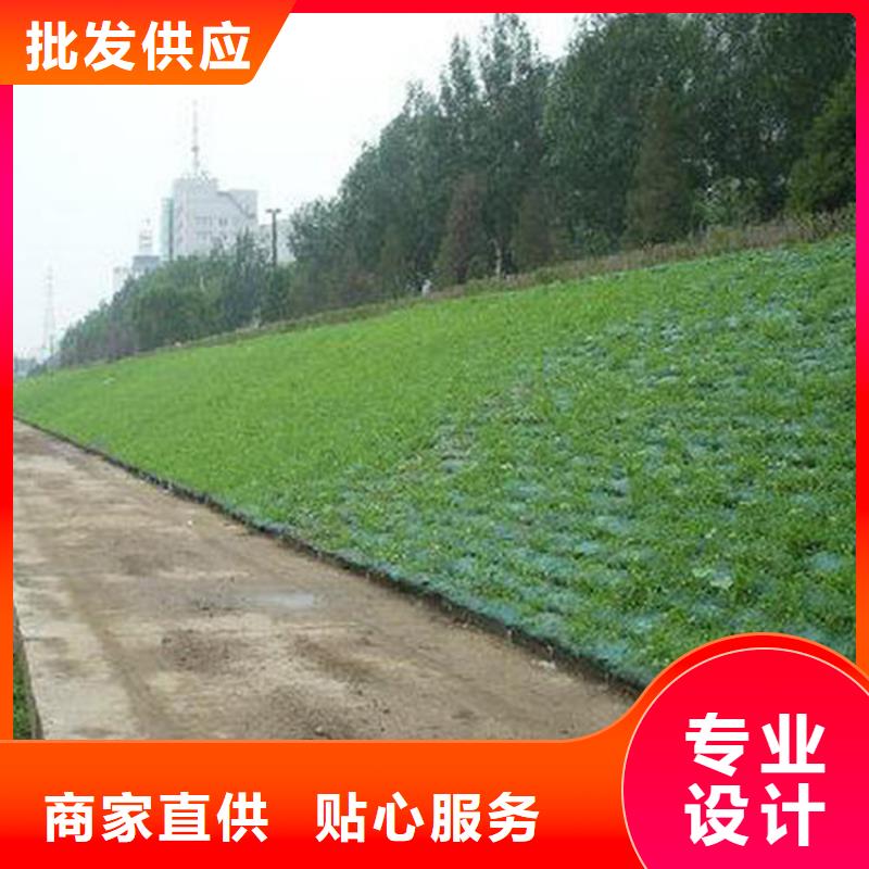 三维植被网_矿用格栅重信誉厂家同城生产商
