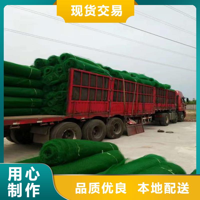 三维植被网_HDPE土工膜按需定制实体厂家支持定制