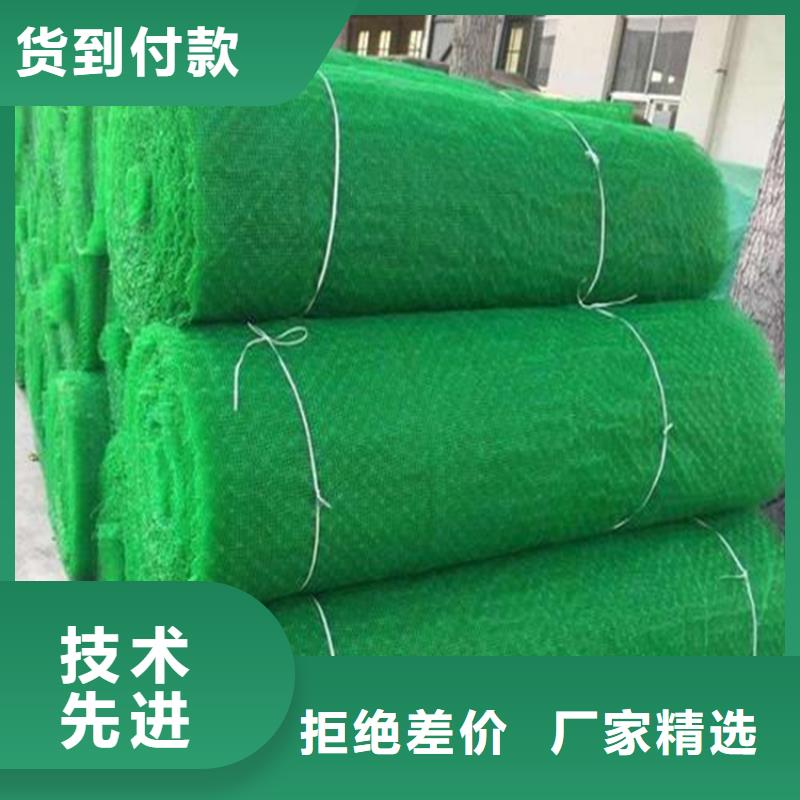 三维植被网快速发货同城服务商