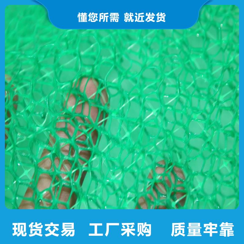 三维植被网聚丙烯长丝土工布当日价格快捷物流