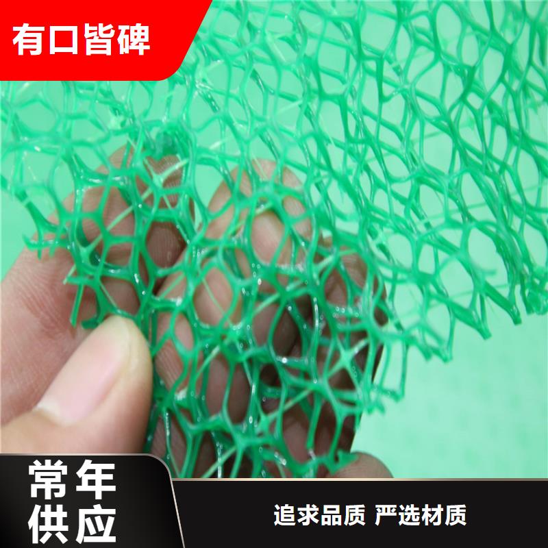 三维植被网土工格栅专业生产厂家厂家经验丰富