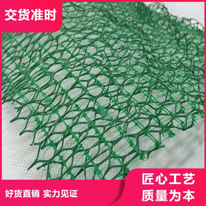 三维植被网防水毯买的放心生产经验丰富