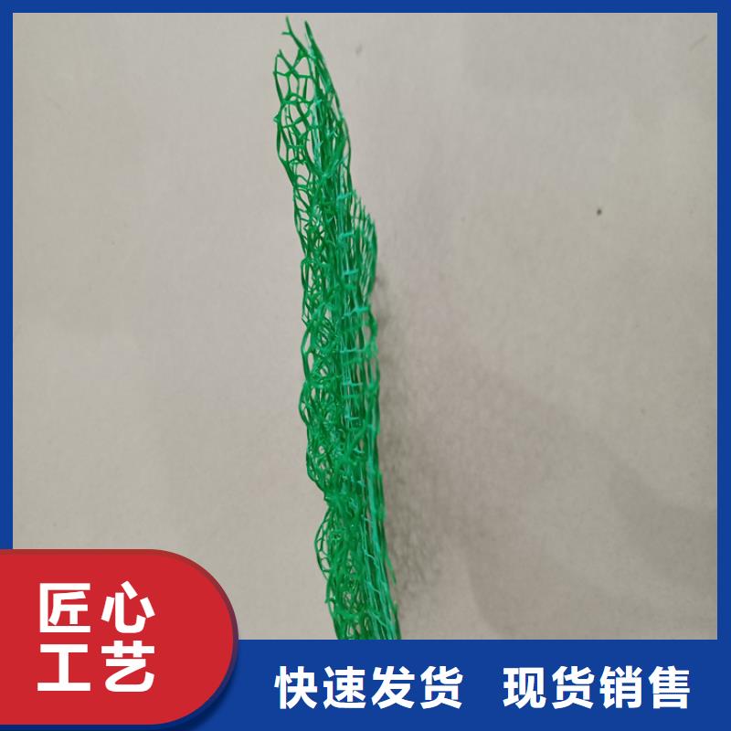 三维植被网防水板欢迎新老客户垂询厂家规格全