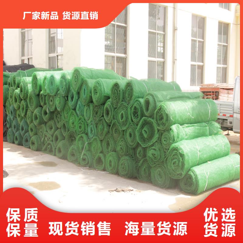 三维植被网防渗膜实体厂家支持定制当地服务商