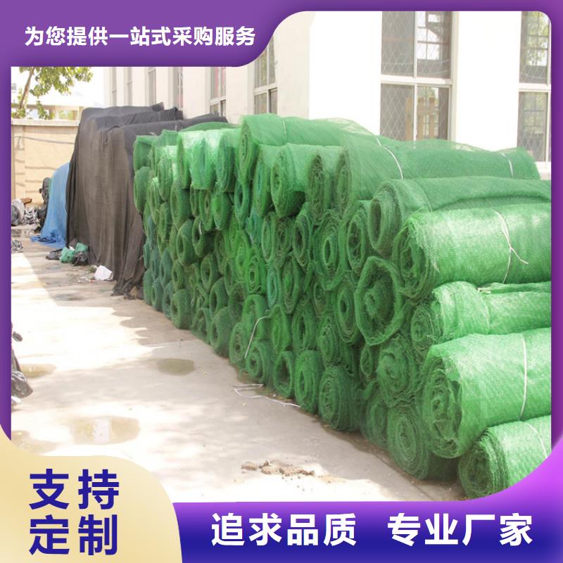 三维植被网,防渗膜供货及时当地服务商
