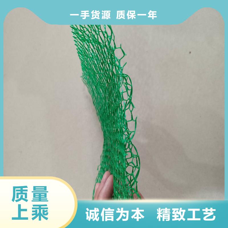三维植被网螺旋管用品质说话当地服务商