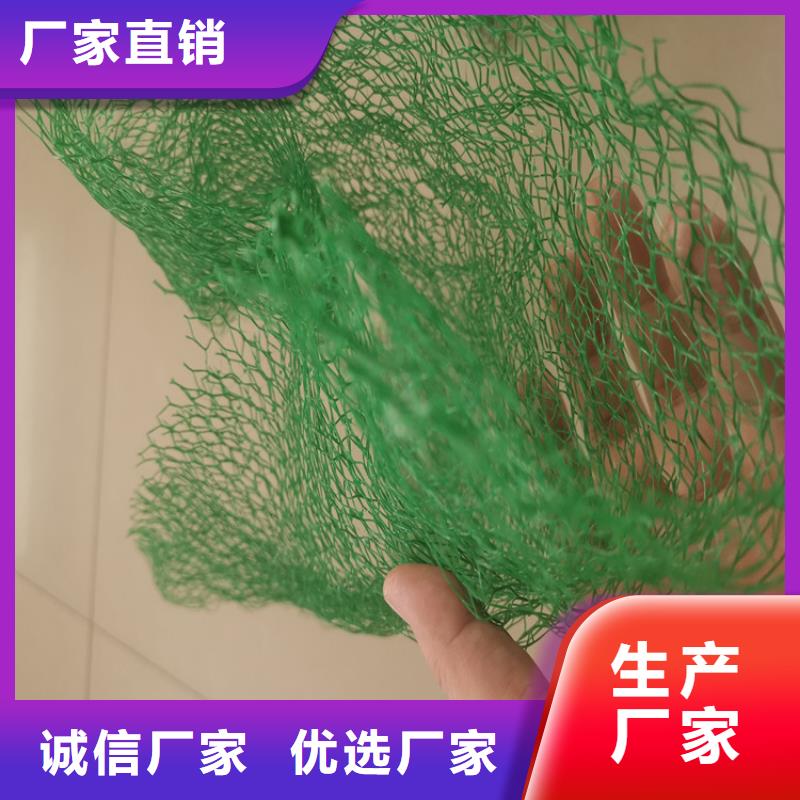 【三维植被网土工布品质保障价格合理】价格有优势