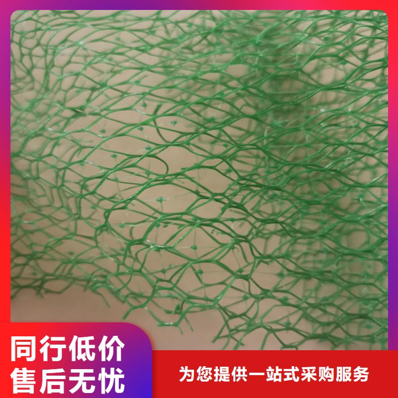 【三维植被网】-HDPE土工膜源头厂家供应客户满意度高
