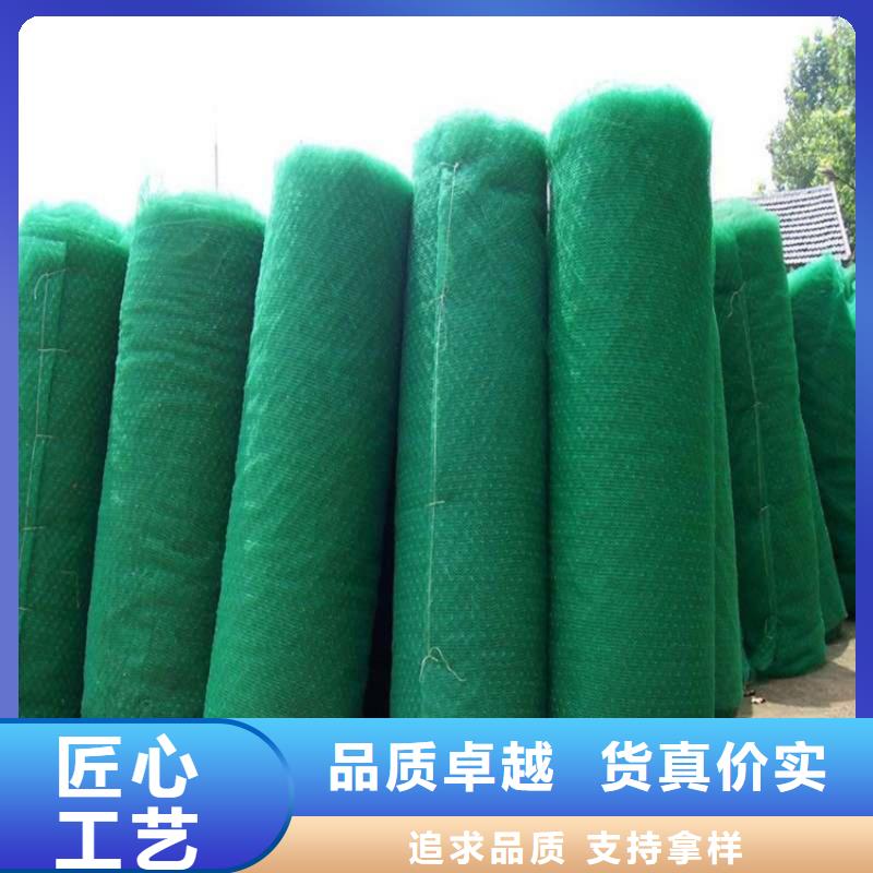 三维植被网土工膜支持定制加工拒绝中间商