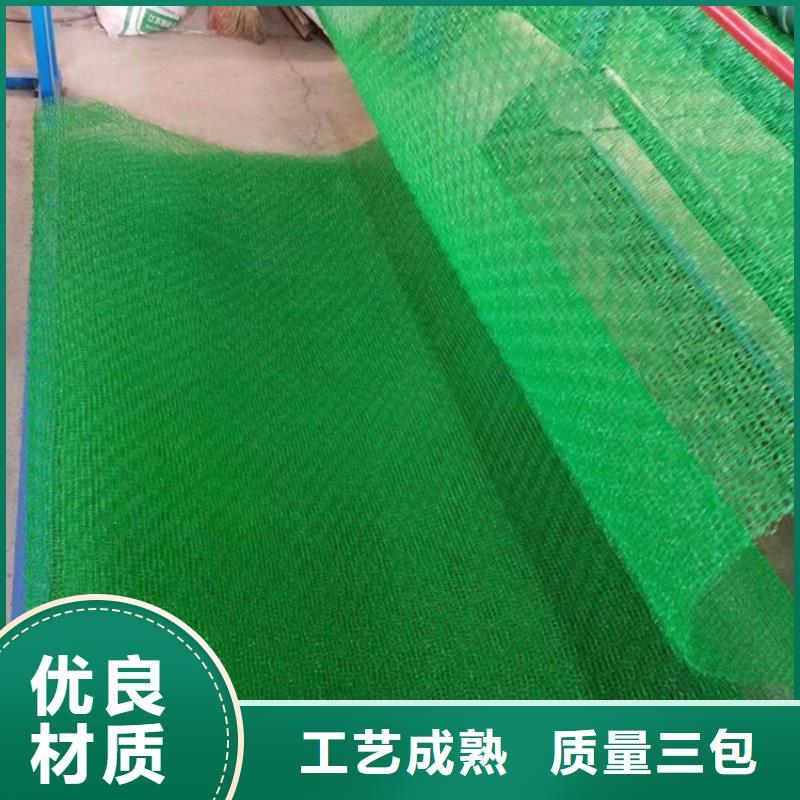 【三维植被网通风降噪丝网追求品质】48小时发货