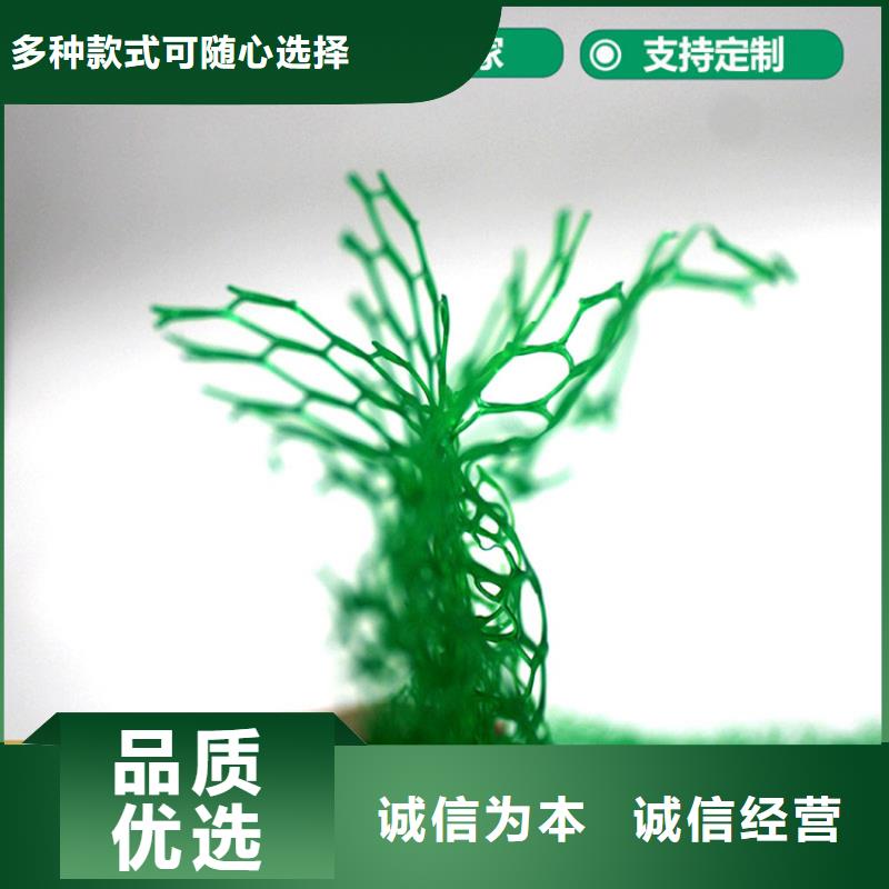 三维植被网,土工格栅库存丰富同城货源