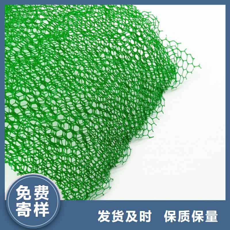 【三维植被网】土工格栅质量安心当地货源