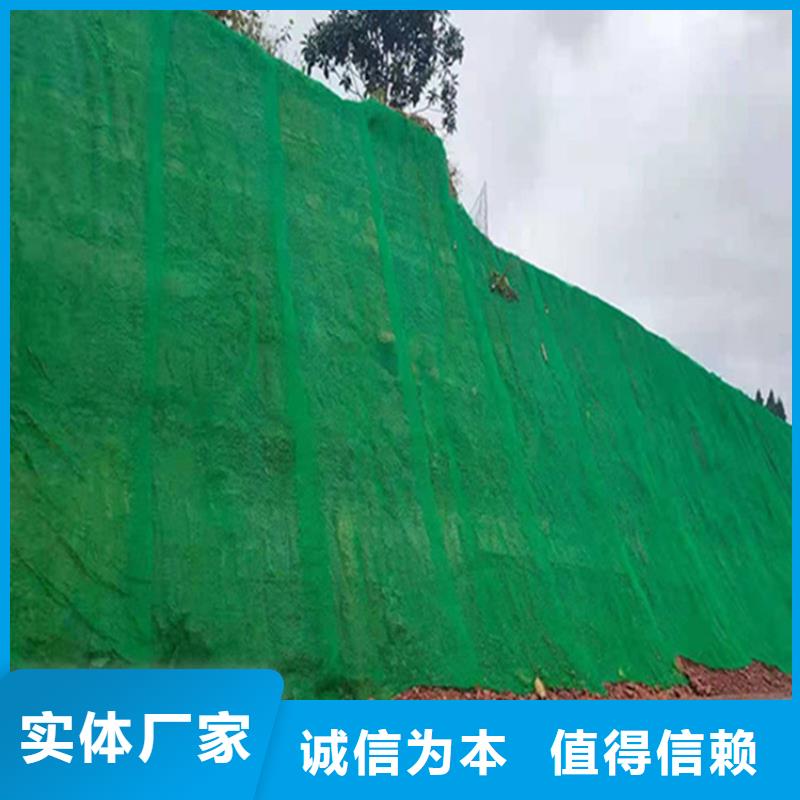 三维植被网-复合土工膜常年供应优质工艺