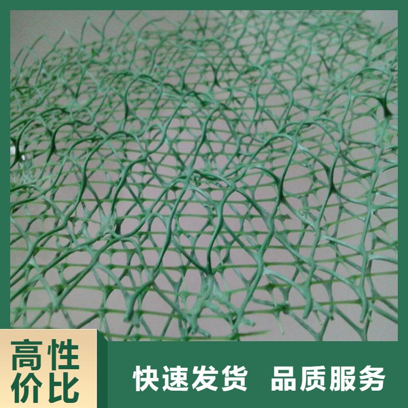 三维植被网_防水板厂家型号齐全同城货源
