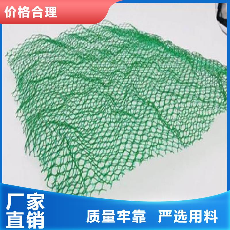 三维植被网土工格室诚信为本当地供应商