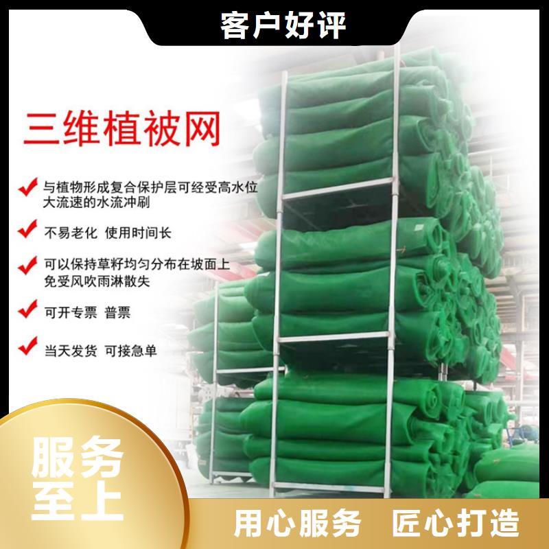 三维植被网塑料盲沟高品质现货销售当地公司
