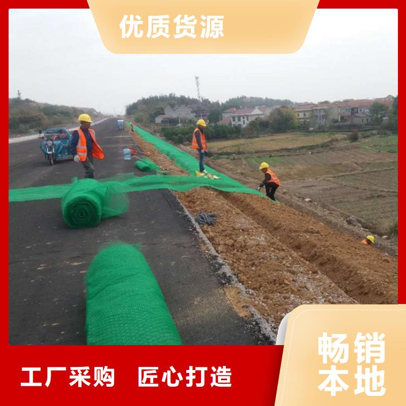 三维植被网土工布客户信赖的厂家适用范围广