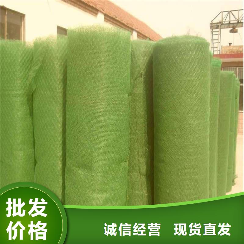 【三维植被网防渗膜品质优选】同城服务商