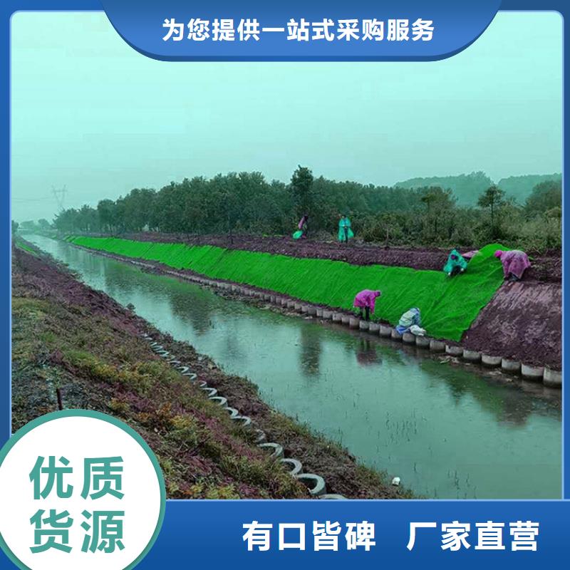 三维植被网土工格栅专业生产设备厂家