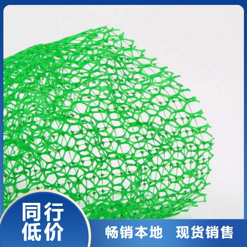 三维植被网-双向土工格栅质量可靠专业厂家