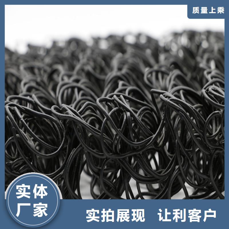 土工席垫土工格栅款式新颖根据要求定制