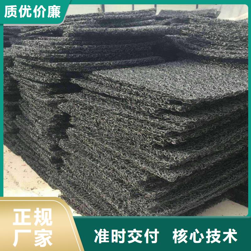 土工席垫土工膜专业的生产厂家优质原料