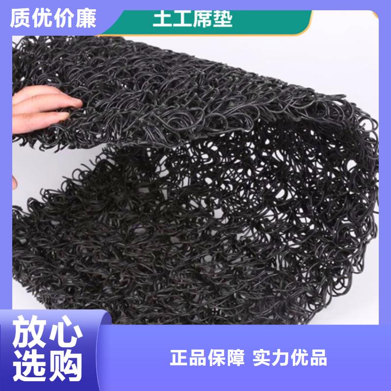 土工席垫双向塑料土工格栅用心做好细节当地公司